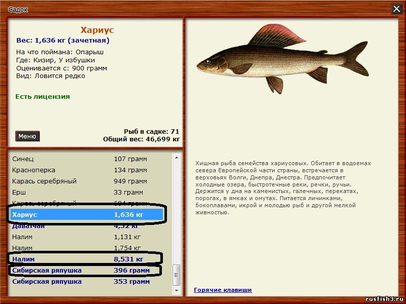 ловля ряпушки ловля ряпушки